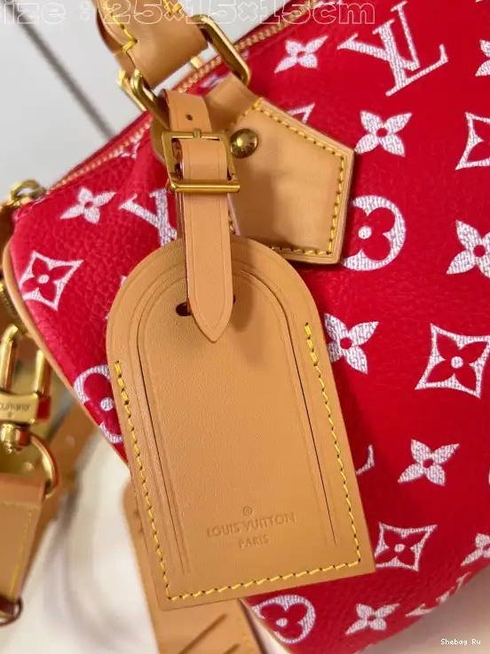 25 Vuitton Louis SPEEDY 0524